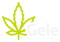Gele-Logo-2