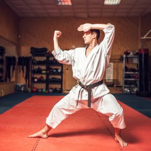 martial-arts-master-on-fight-training-in-gym