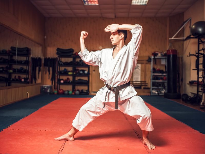 martial-arts-master-on-fight-training-in-gym