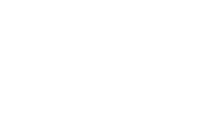 Speed Auto